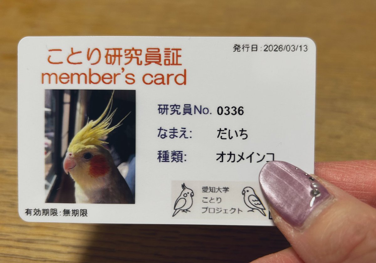 ibuchin190226's tweet photo. だいちゃん、研究員になりました！
お役に立てるかしら？😆 https://t.co/hFAuqBkqjq