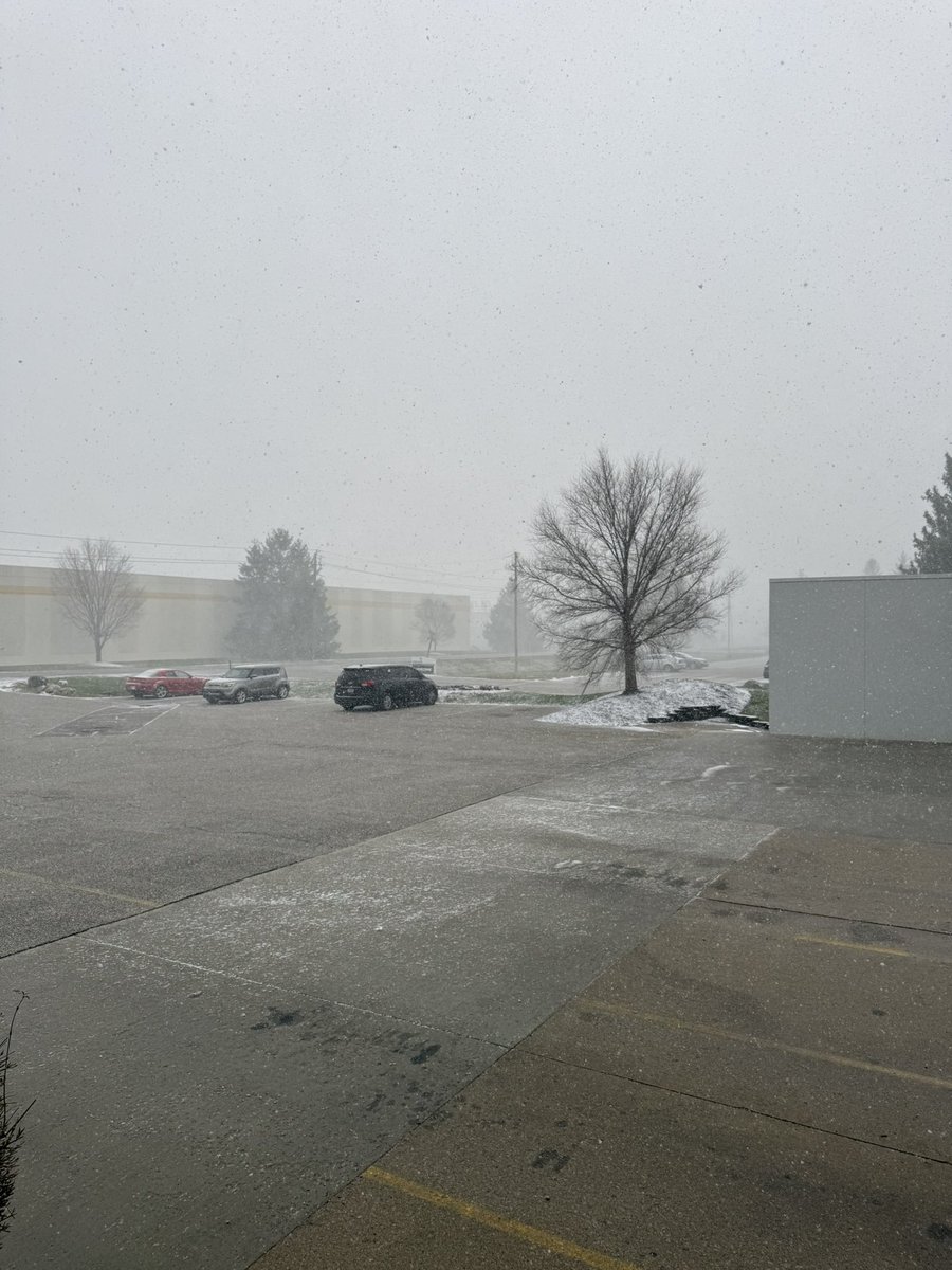 CP 🌻🇺🇦 tweet media