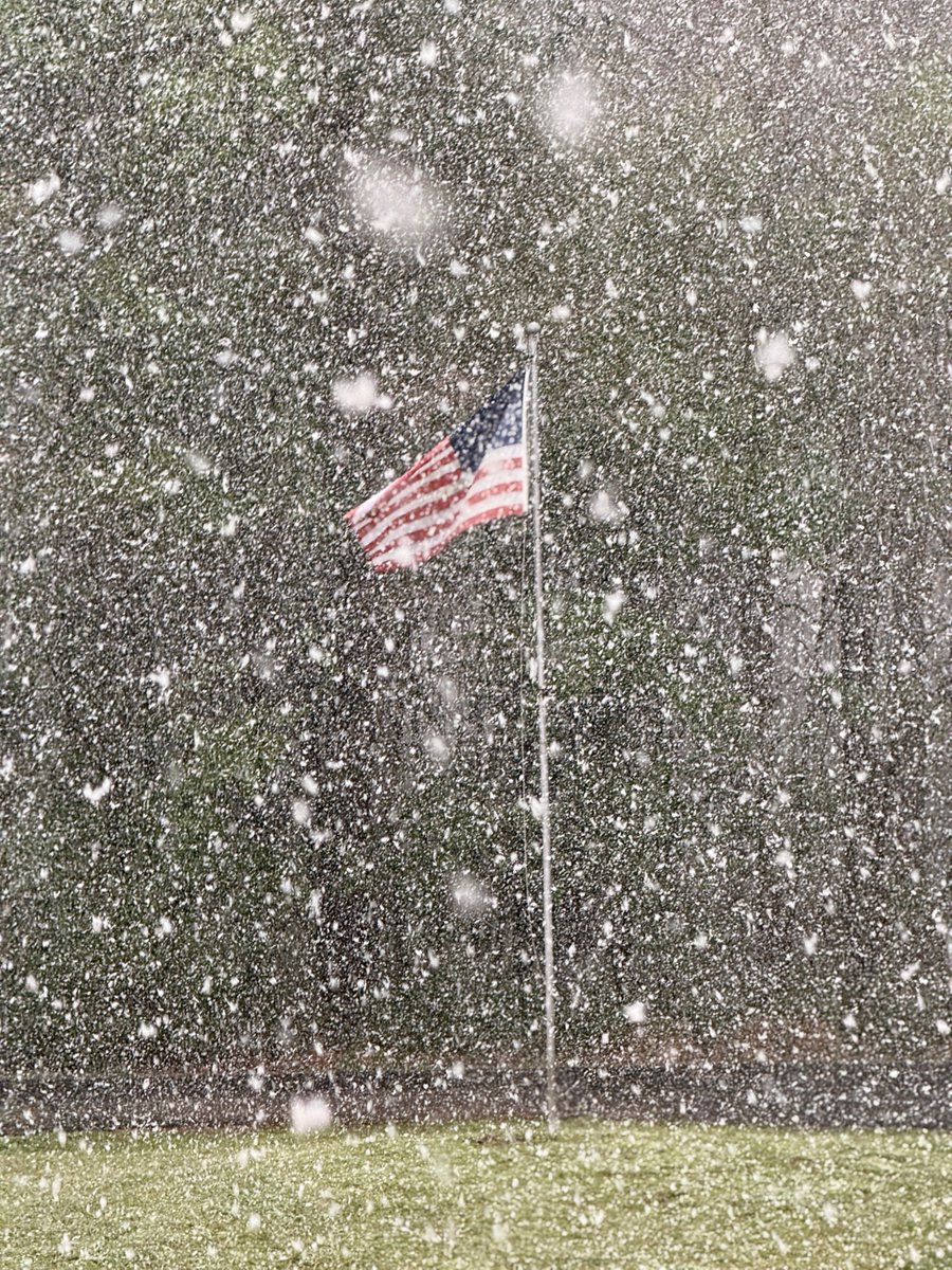 Adam Tisdale tweet media