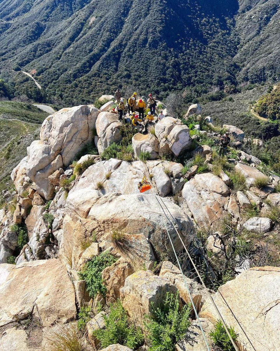 North County Fire Protection District tweet media