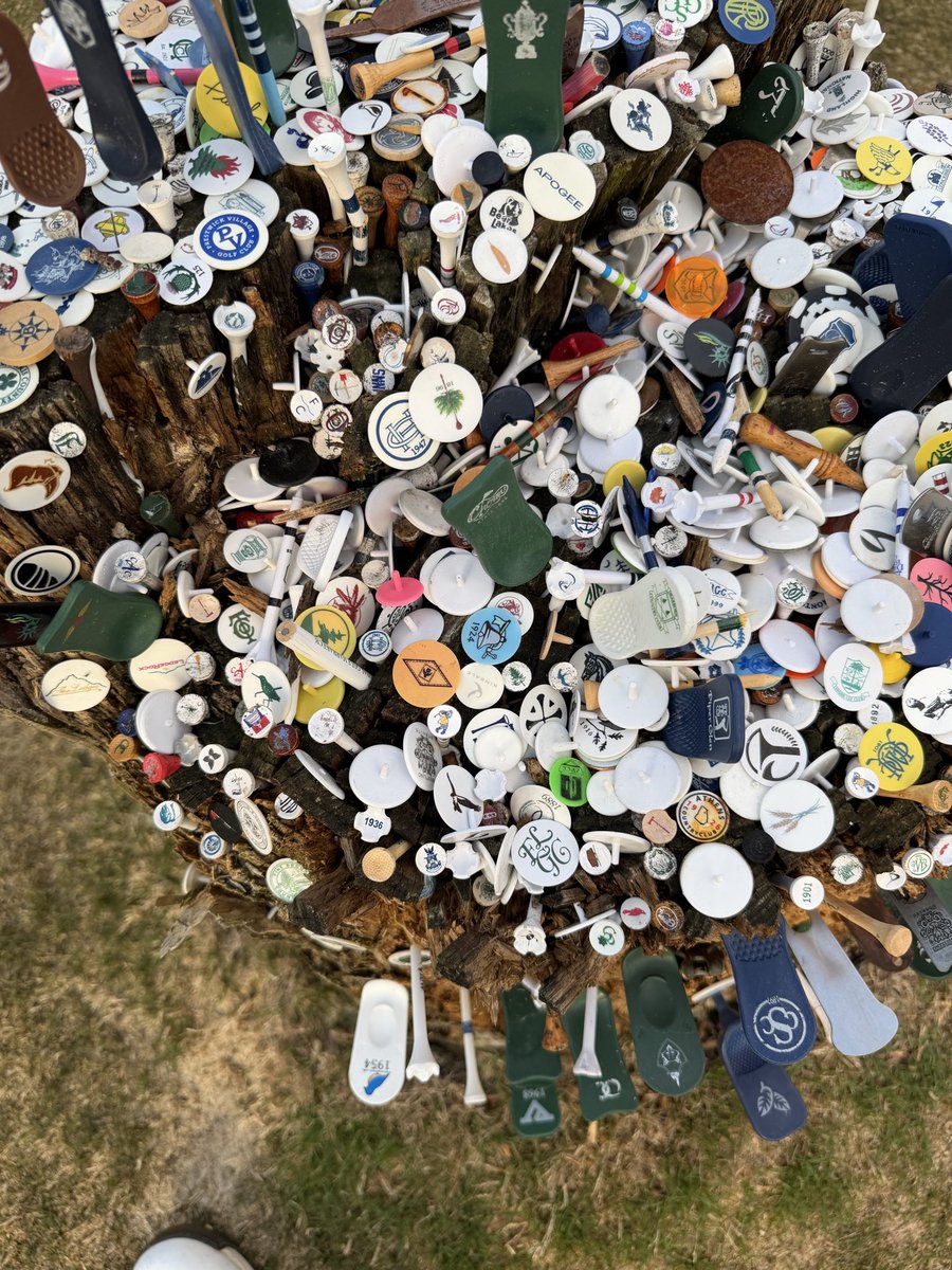 Blaine Woodruff tweet media