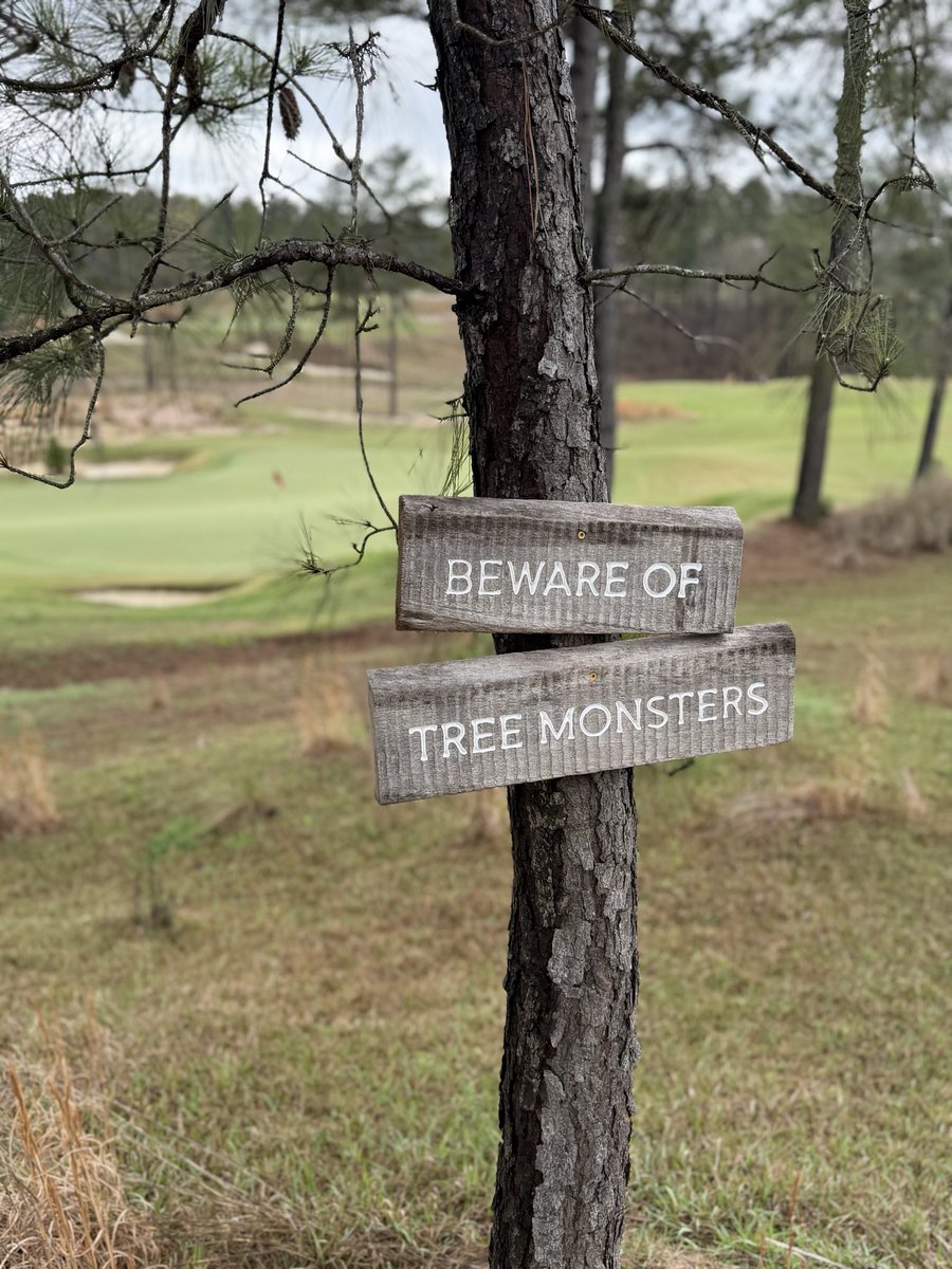 Blaine Woodruff tweet media