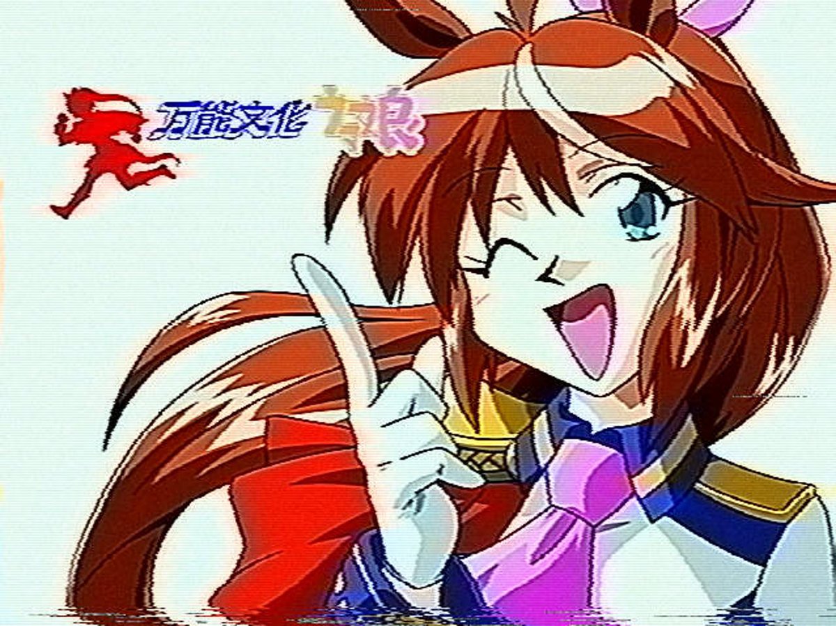 元ネタも吟味すれば、なるほど確かにVHSの3倍で撮った感が出る 