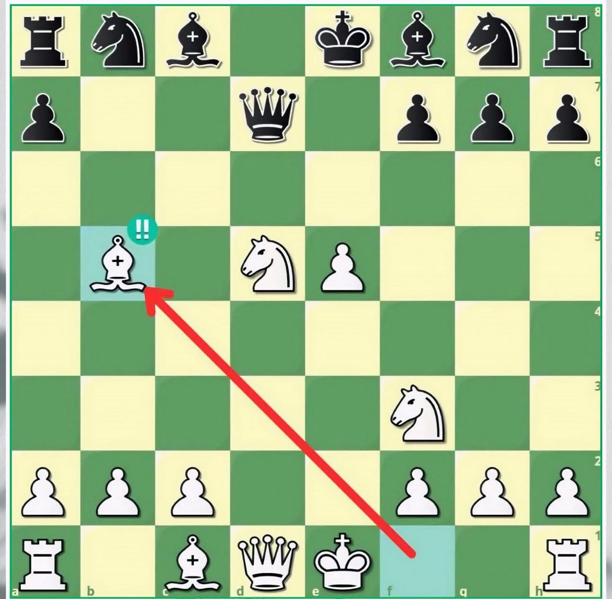 Chess Master tweet media