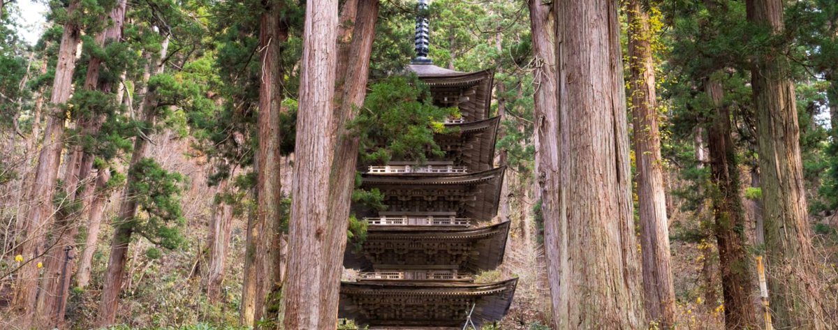 JapanEmb_Spain tweet media