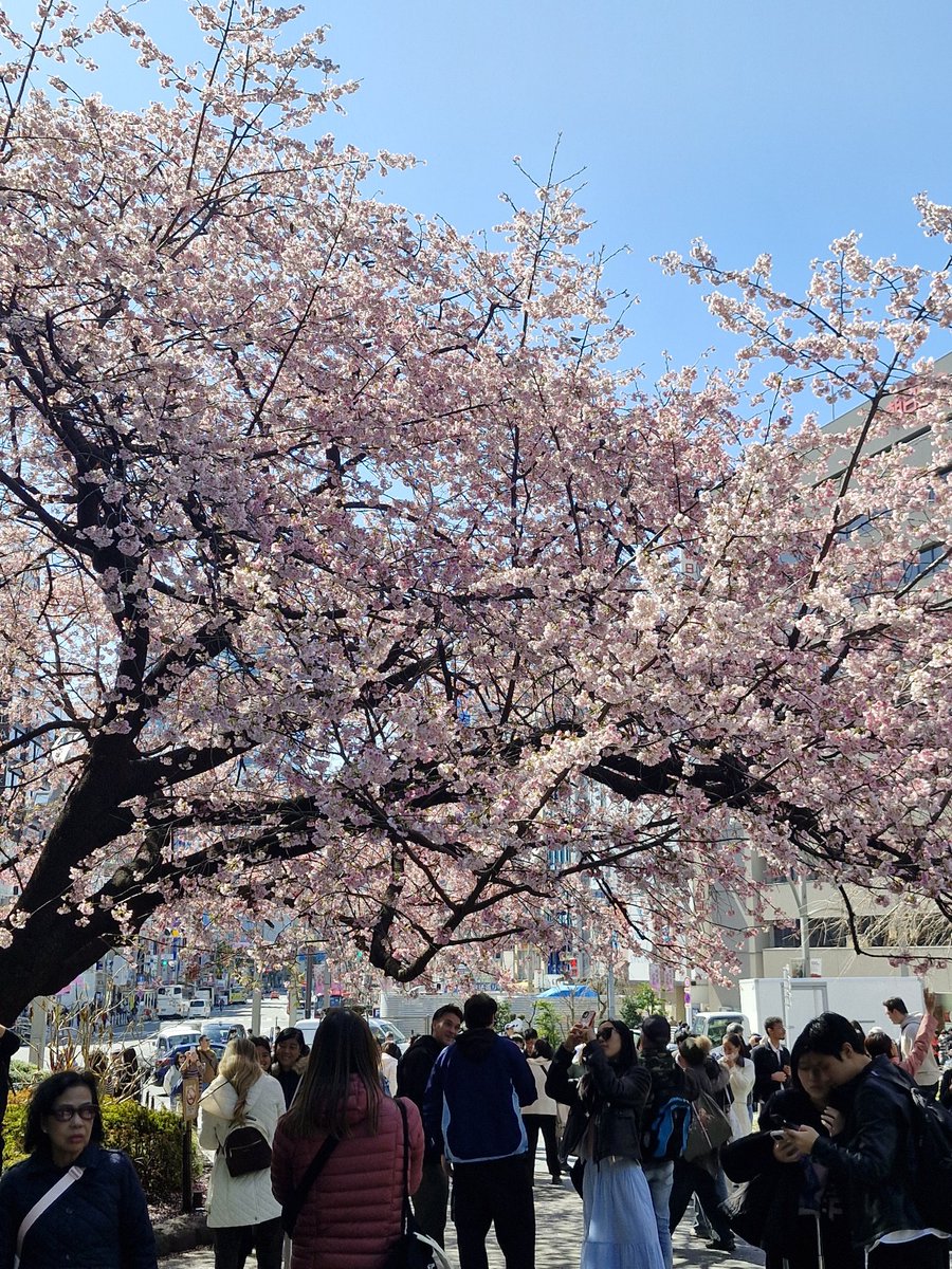 Ace103 🇳🇿 tweet media