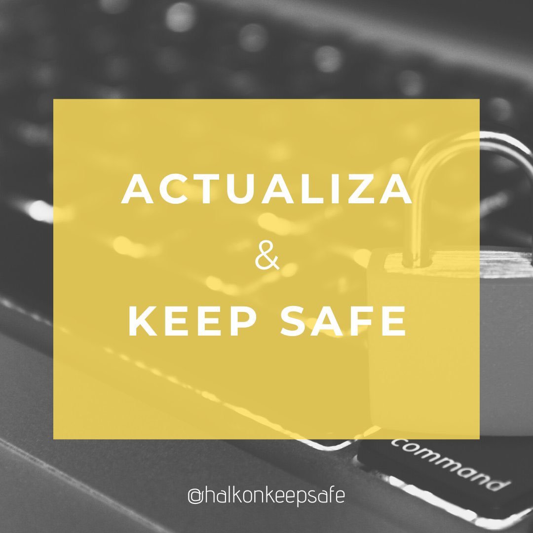 Halkon Keep Safe tweet media