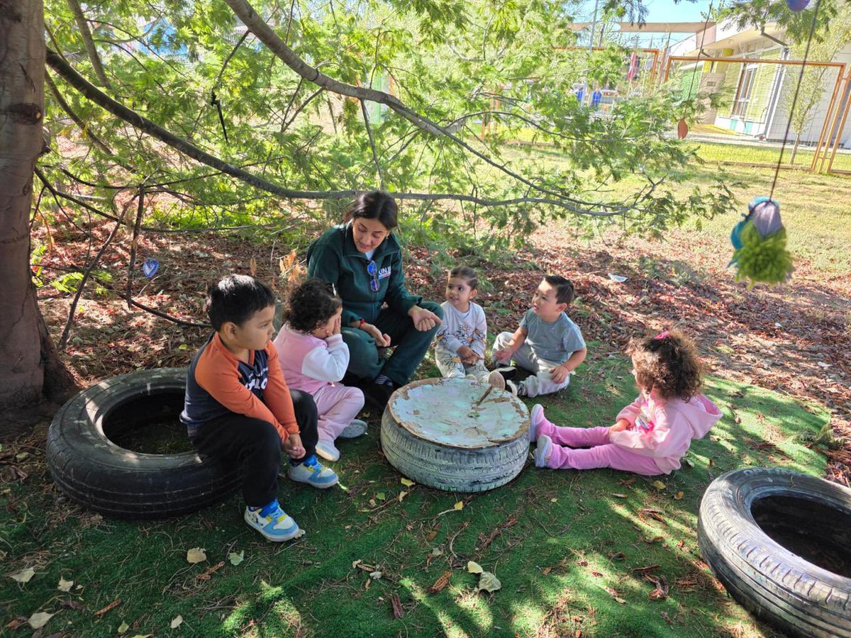 JUNJI Maule tweet media