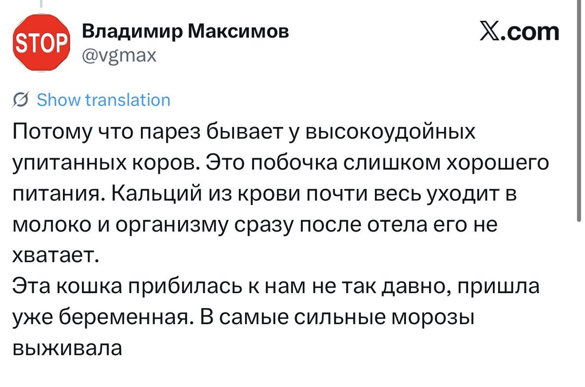 skotobaza tweet media