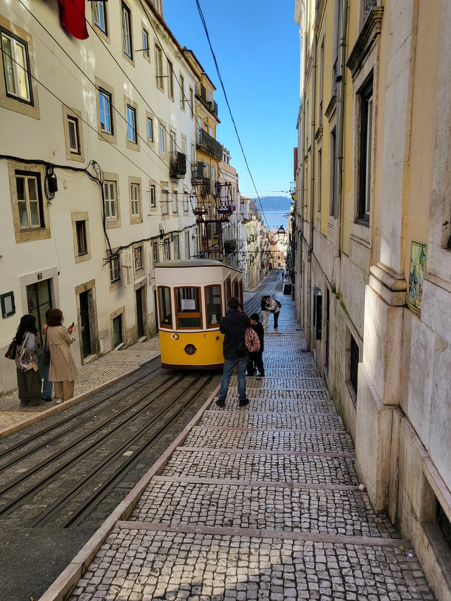 ReNature🦋 tweet media