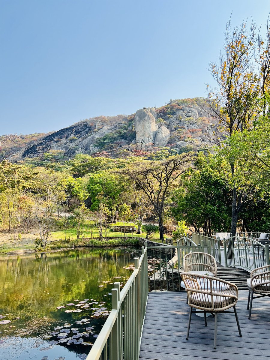 PTChimusoro's tweet image. Since Nyanga is one of my favorite destinations I’ll use examples from there: 

Inn on Rupurara which I believe is Mr favorite place in Nyanga! Pictures attached 👇🏾

Mountain Lakes Resort. 

And Froggy Farm. 

They’ve done so well in the past 3-4 years. 

#TravelZimbabwe