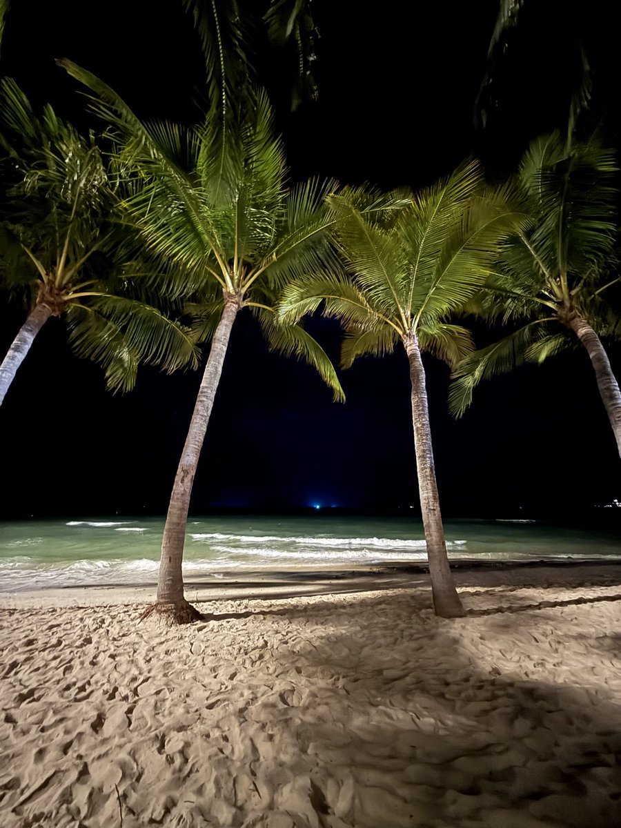 HD שמעון tweet media