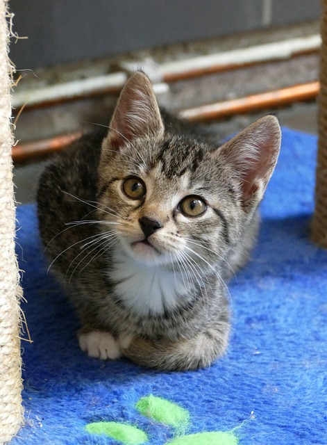 Kerry Veunnasack tweet media