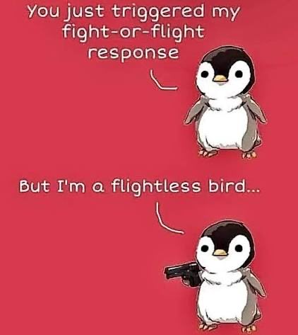 Hatless Hank tweet media