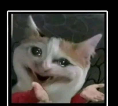 Sandra Kings tweet media