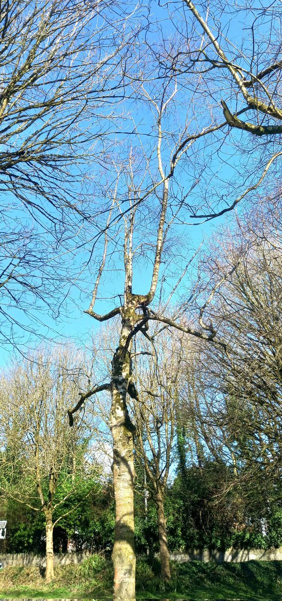 Amanda's Counselling tweet media