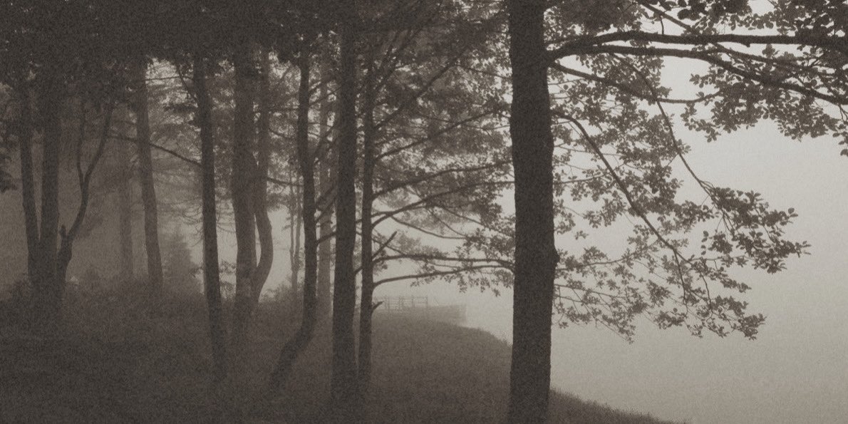 a | bridgerton & tvd 🎞️ tweet media