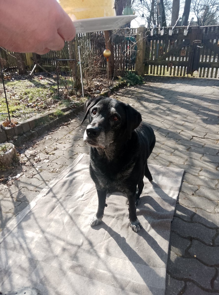 Ralph Köder tweet media