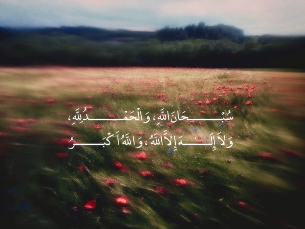 غَـيداء tweet media