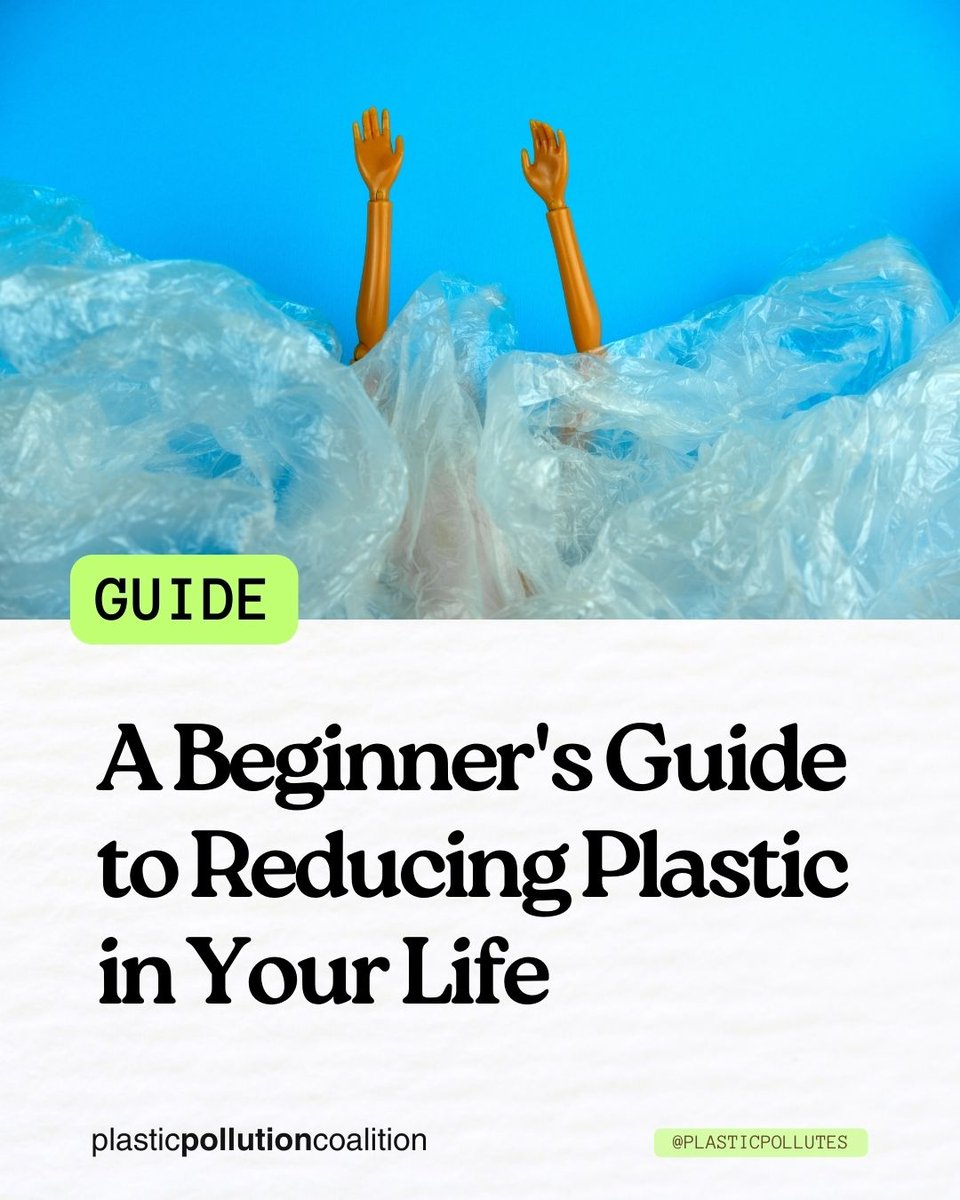 PlasticPollutes's tweet photo. 👉 Looking for ways to reduce plastic in your life without feeling overwhelmed? 

Check out our beginner’s guide. Especially if you aren’t sure where to start, this one is for you – read it HERE: https://t.co/kVCwGgosGy

#PlasticPollutes #ReducePlastic #LessPlastic https://t.co/Rys1b9WKCD