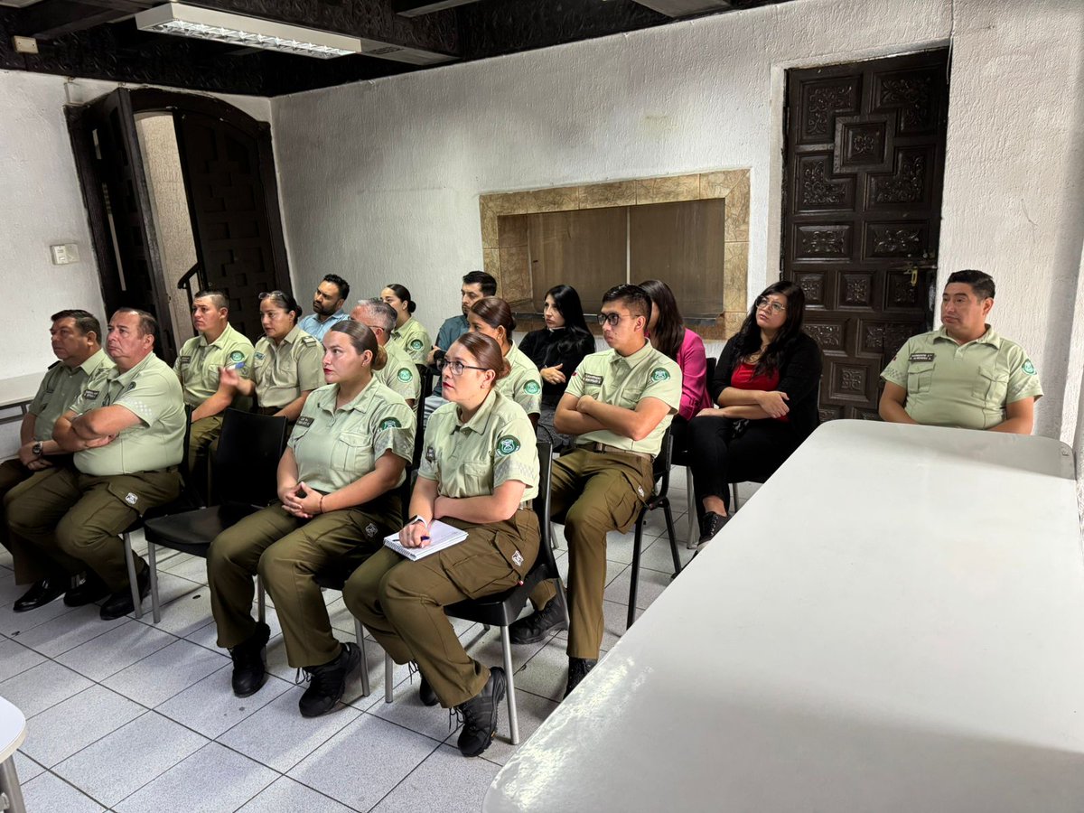 Carabineros Derechos Humanos y Prot. de la Familia tweet media