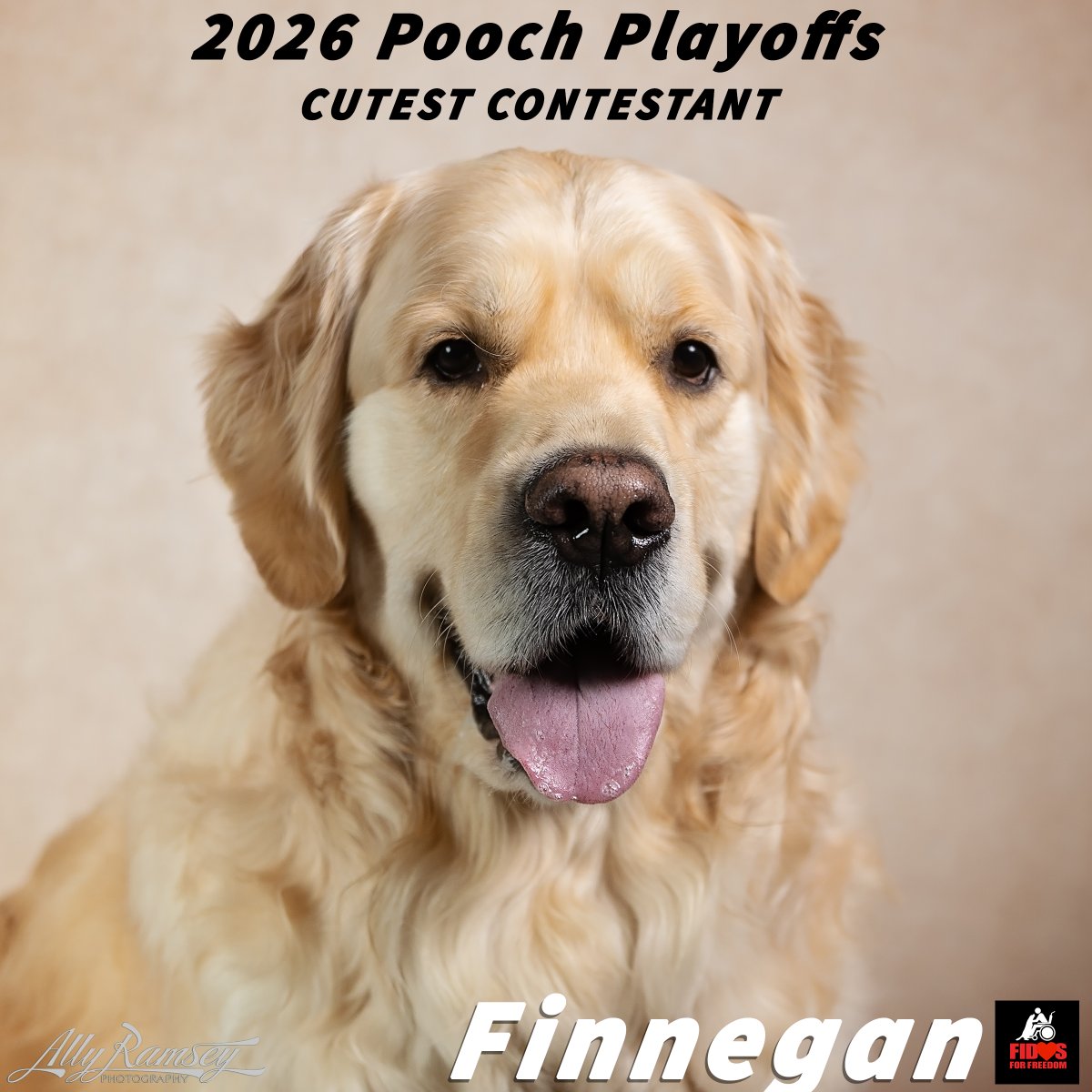 Fidos For Freedom tweet media