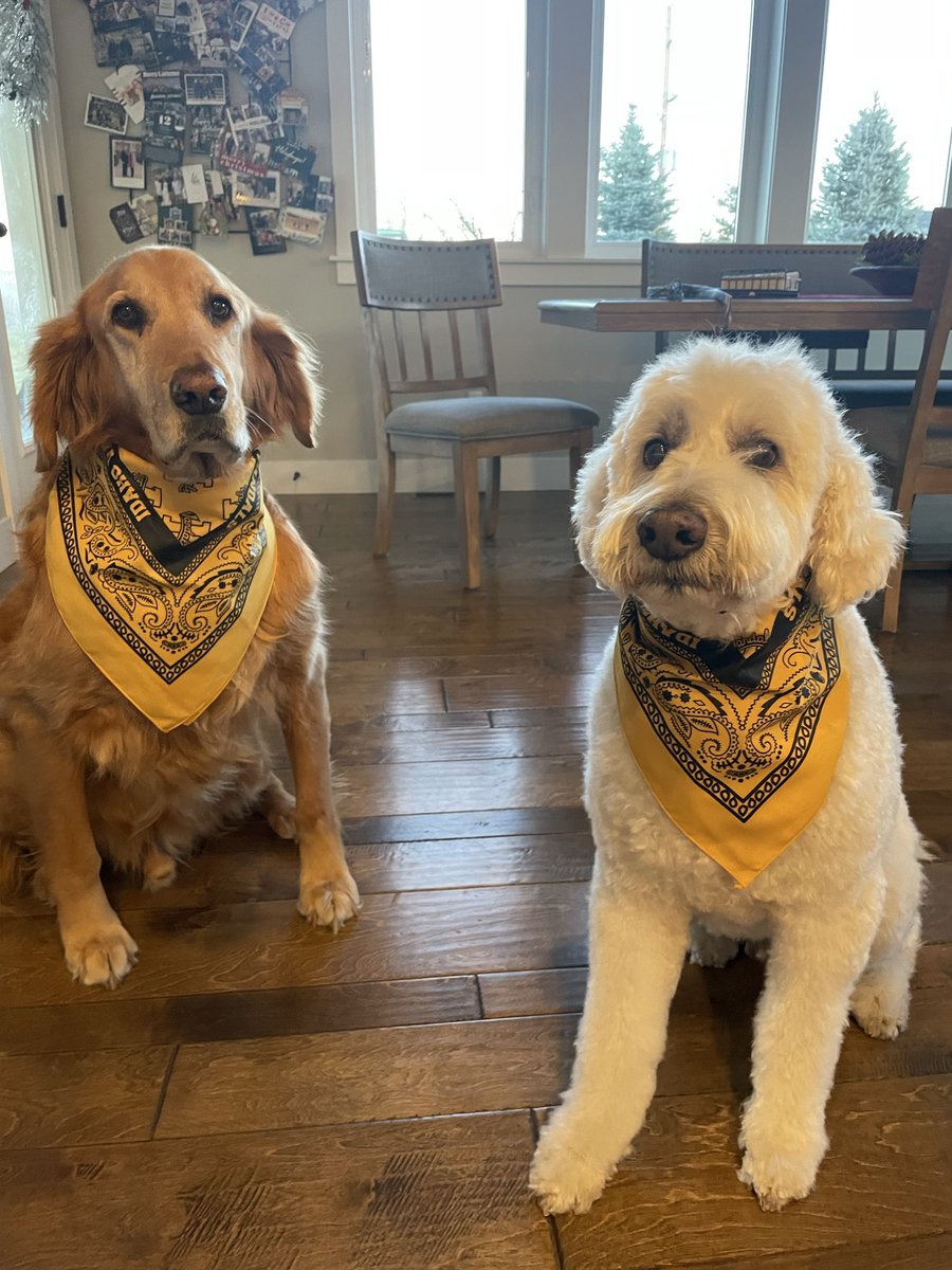 TFVandal's tweet photo. Double Vandal Madness this week! Good luck @VandalsWBB and @VandalHoops in Oklahoma! https://t.co/YTRtzShP4s