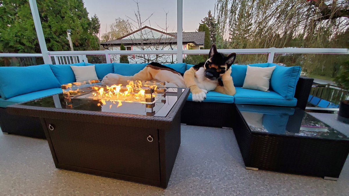 Nitro Shep 🔜 𝗙𝗪𝗔 tweet media