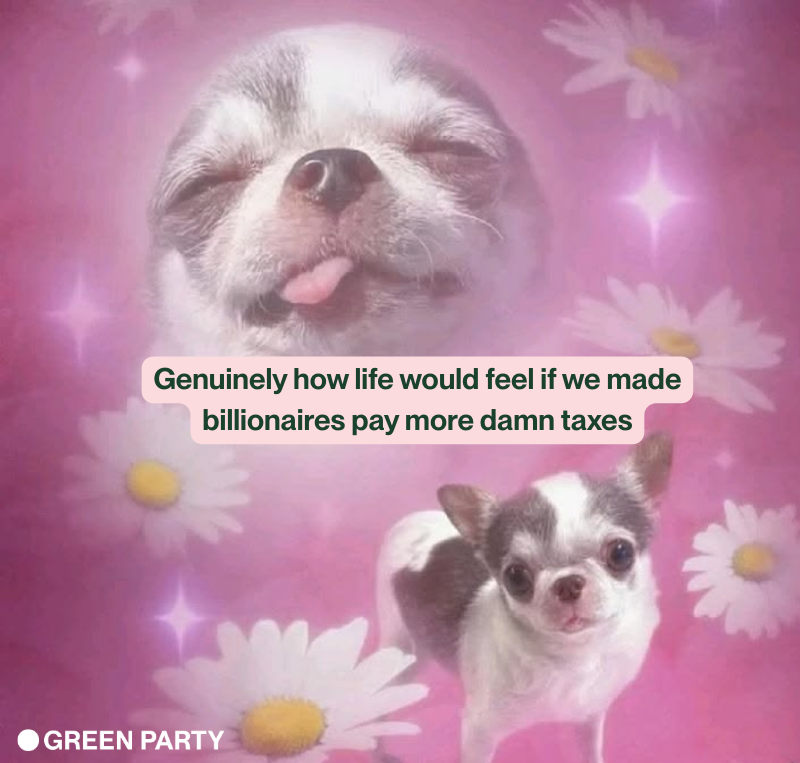 Green Party of Canada tweet media