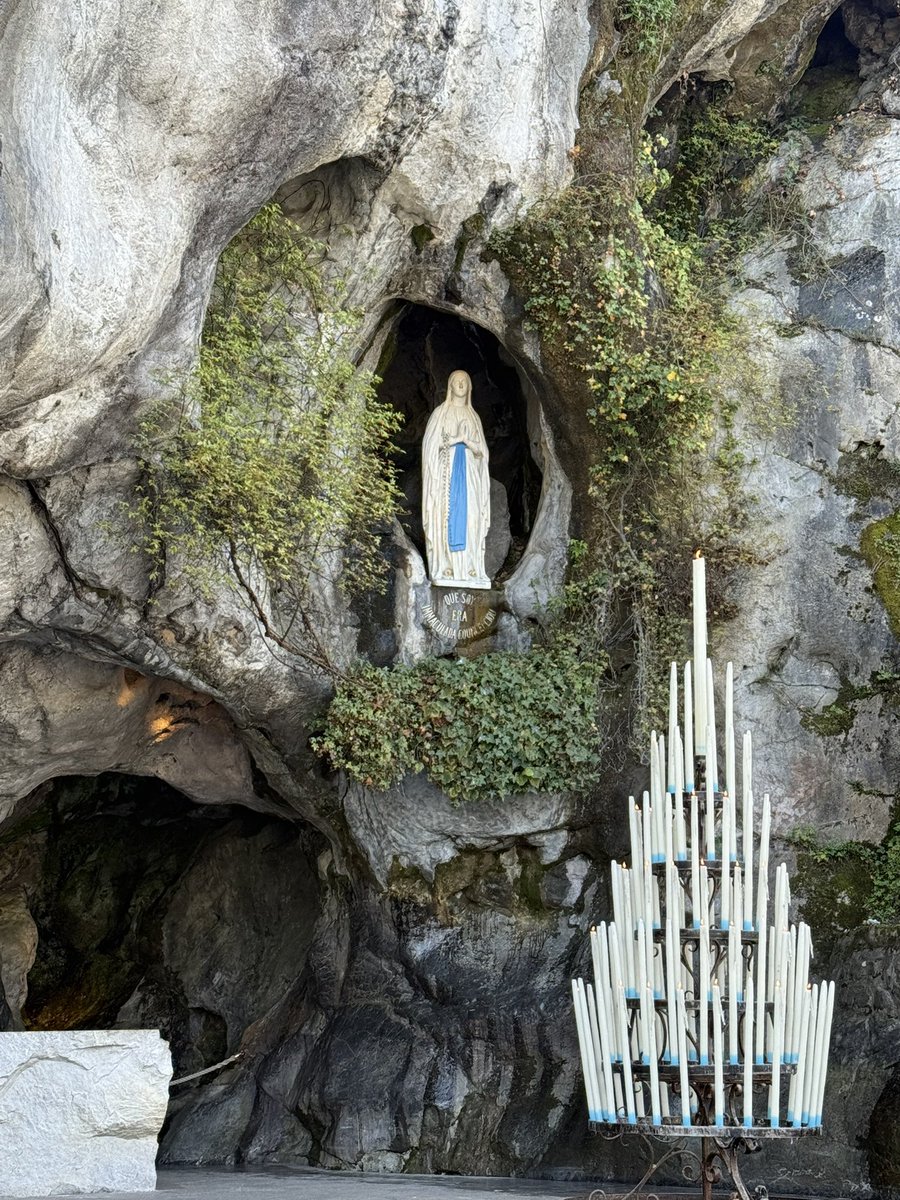 Fr. Patrick Hyde, OP tweet media