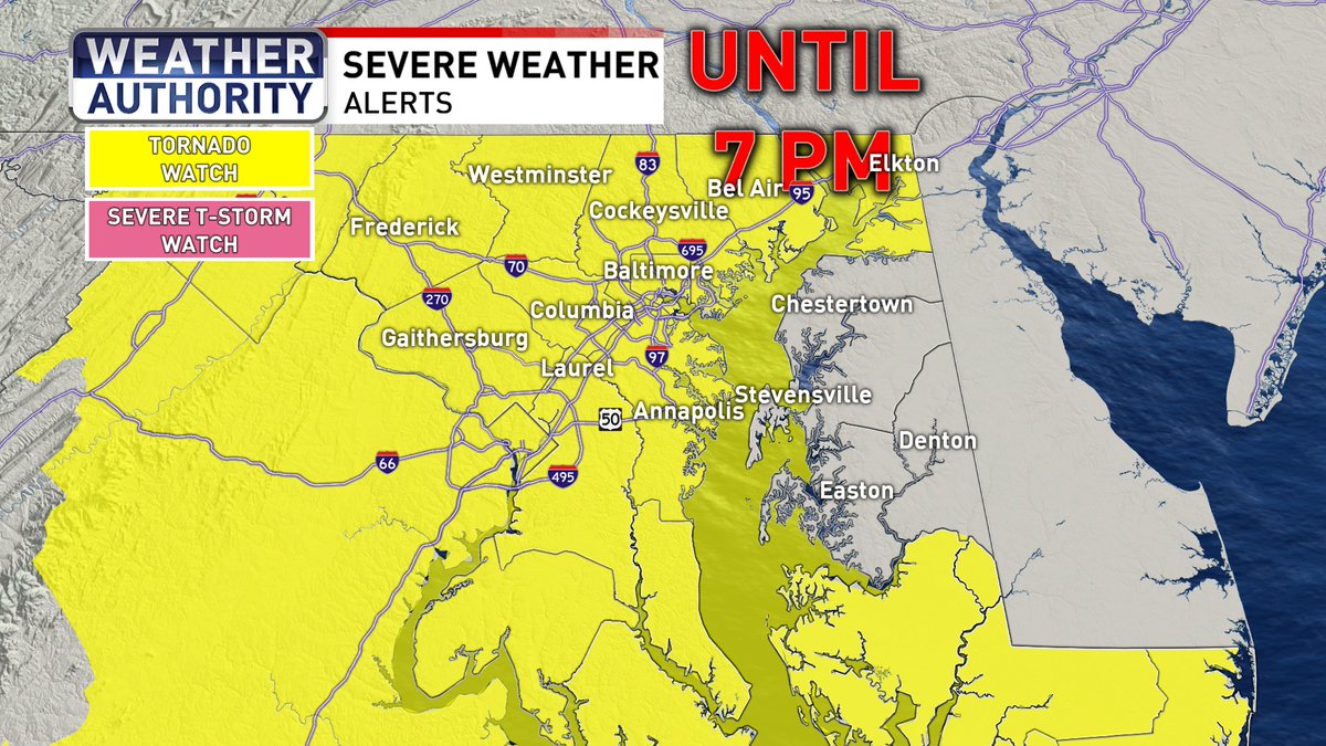 Justin Chambers tweet media