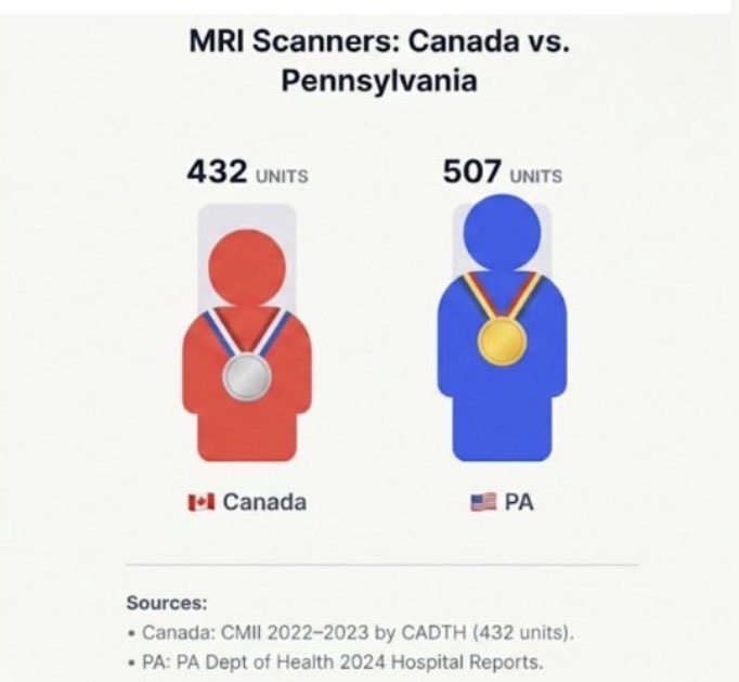 David Zhao tweet media