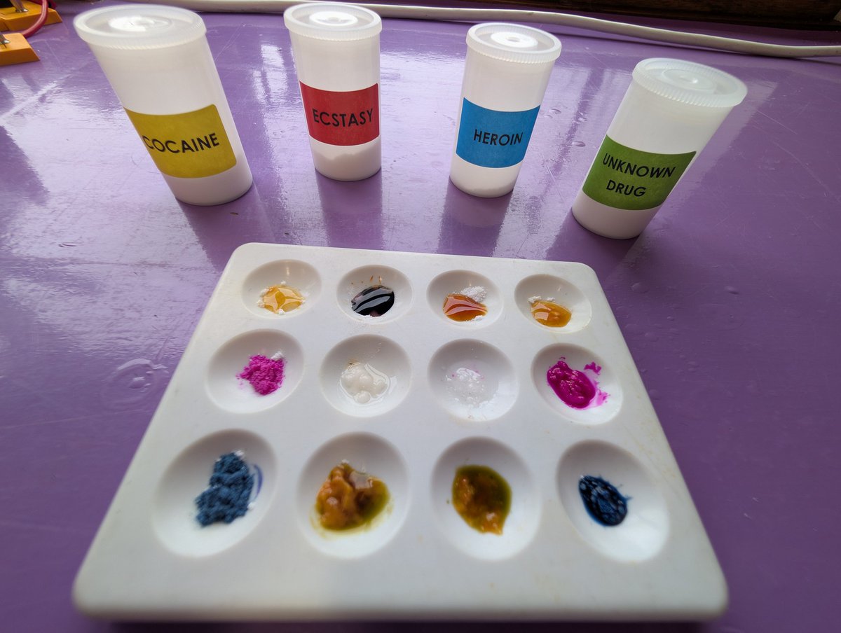 Kerri Passantino tweet media