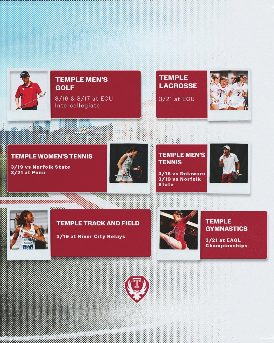 Temple Owls tweet media