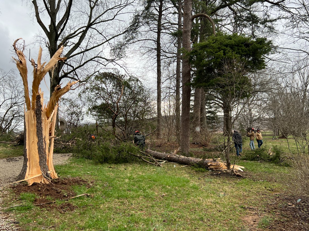 Bernheim Forest tweet media