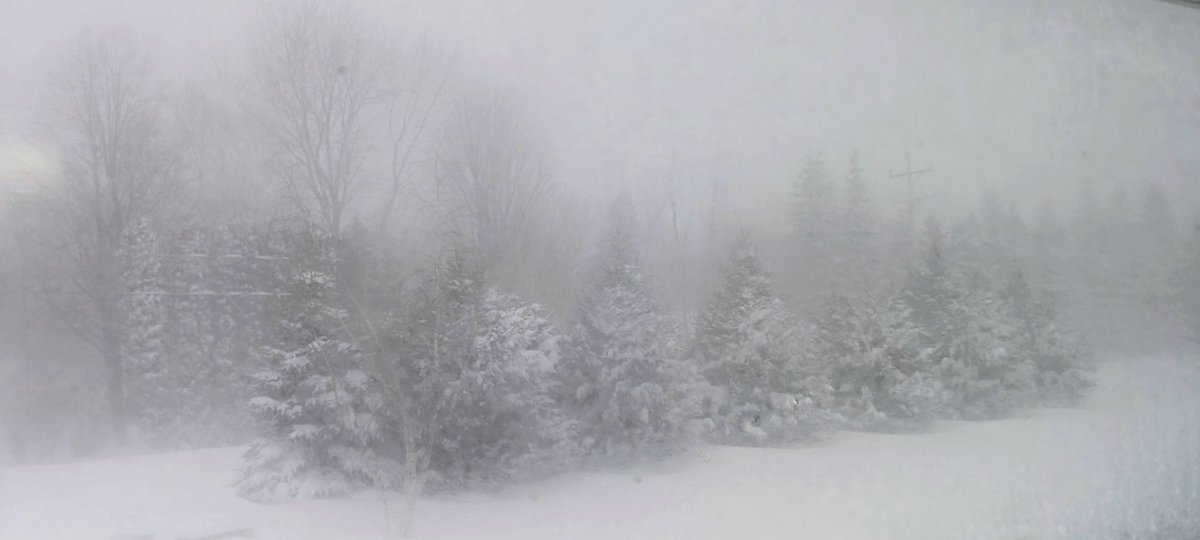 SarahthePoetess's tweet image. The
Elsa
Blizzard 

Side note-this was the picture I took this morning &amp;amp; our winter storm is actually named Elsa 🥶😅

📸by me/click req'd
#3wordspoet 
#poetrycommunity
#blizzard