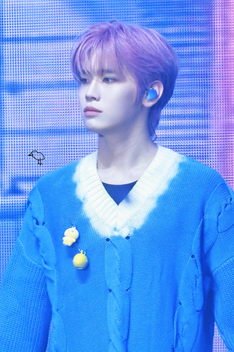 llt🐤🐣🐥 tweet media