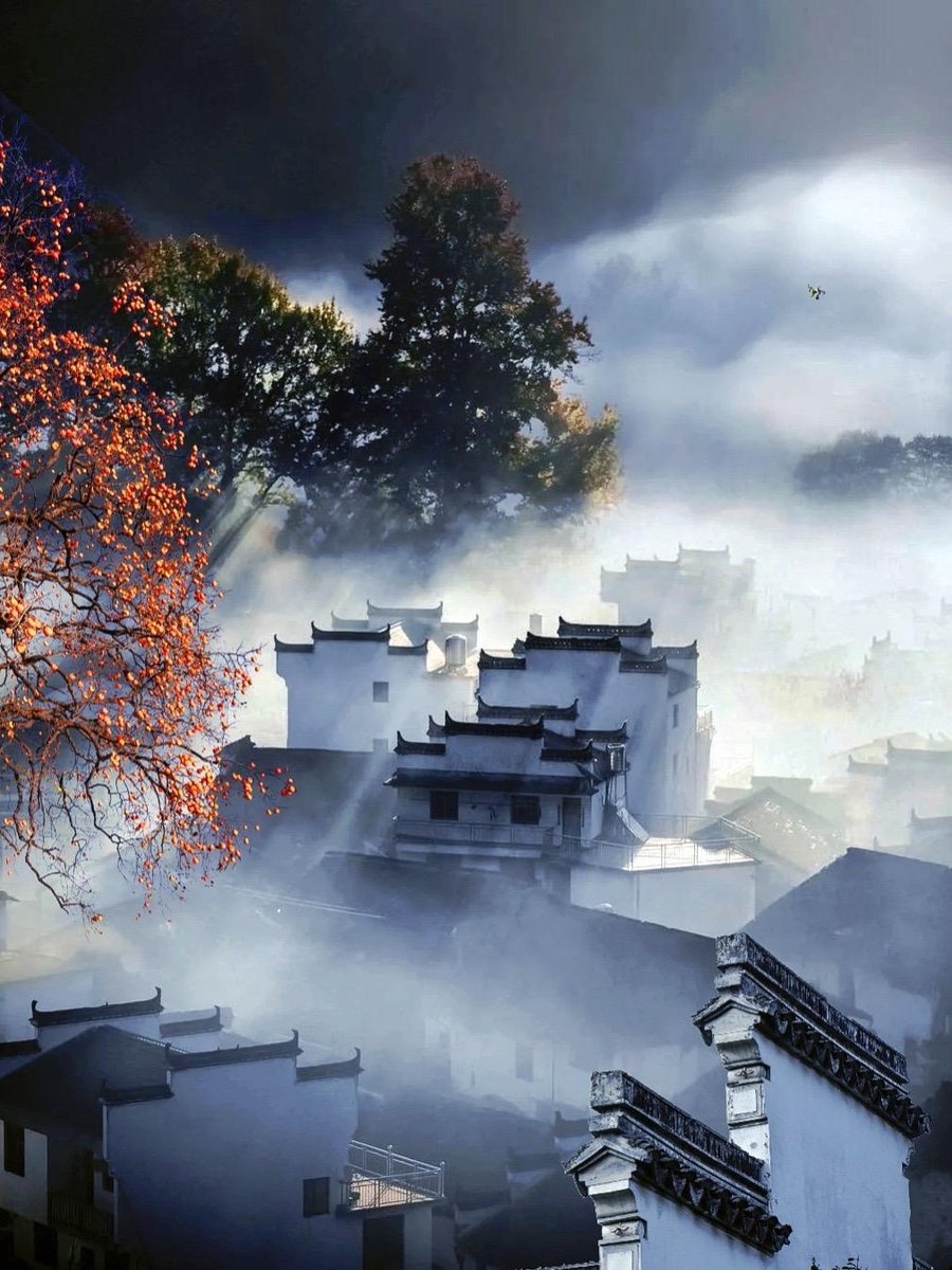 Ardney Siozv-Assistant tweet media