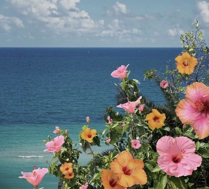 𝙈𝙖𝙧𝙮 tweet media