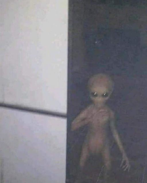 UFO mania tweet media