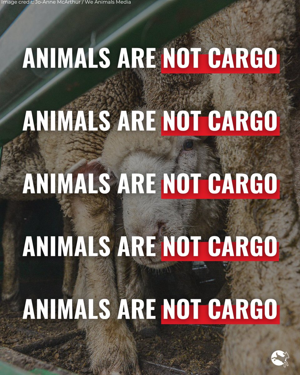 Compassion in World Farming EU tweet media