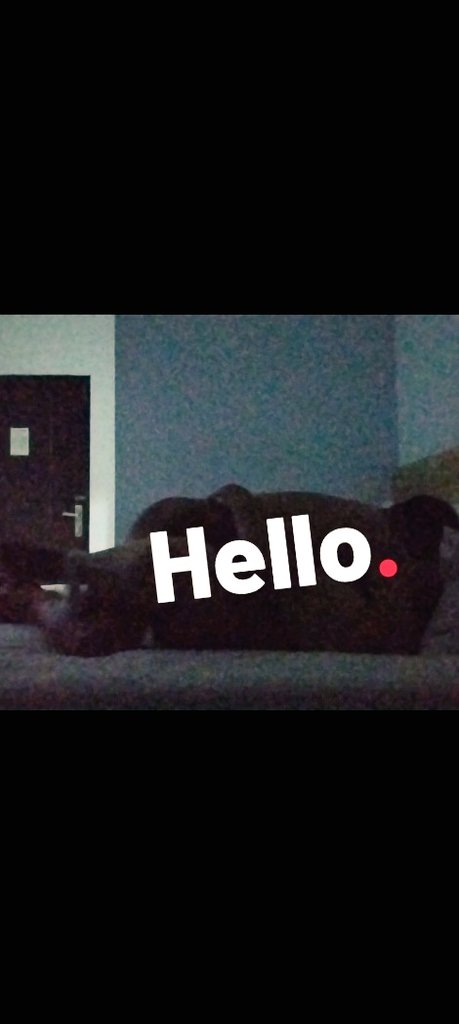 Fawza malsel tweet media