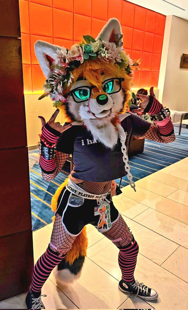 Haiku 🌸👑 @ TFF tweet media