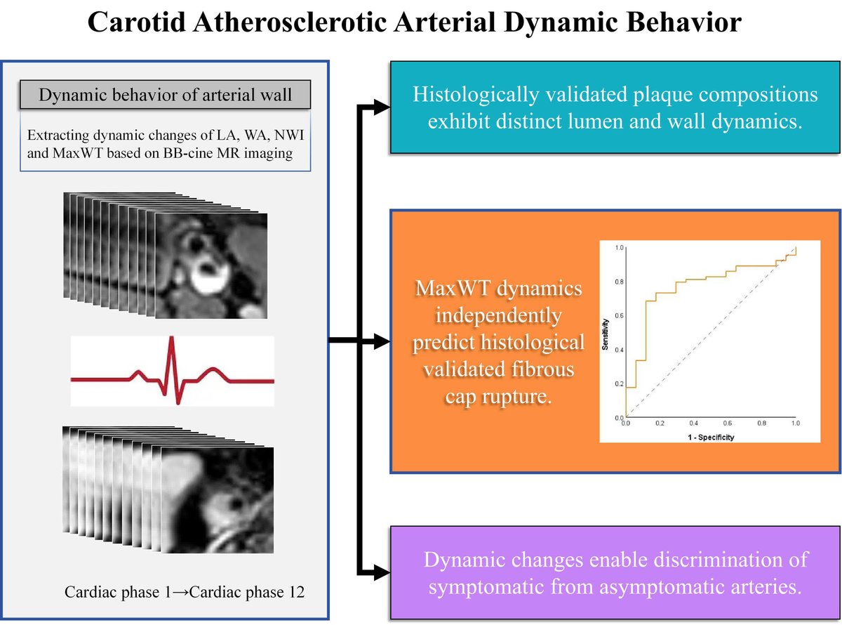 ATVB: An AHA Journal tweet media
