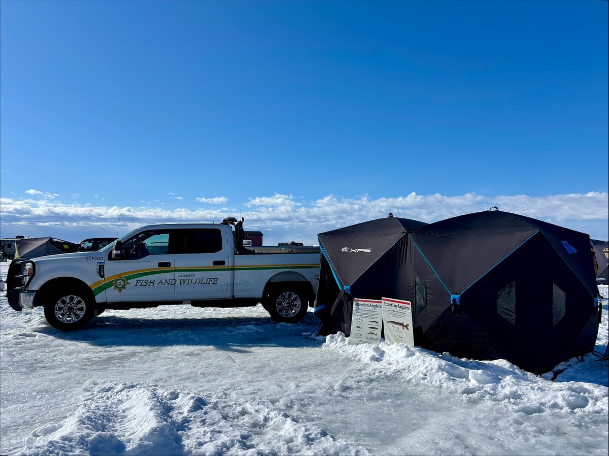 Alberta Fish and Wildlife Enforcement tweet media
