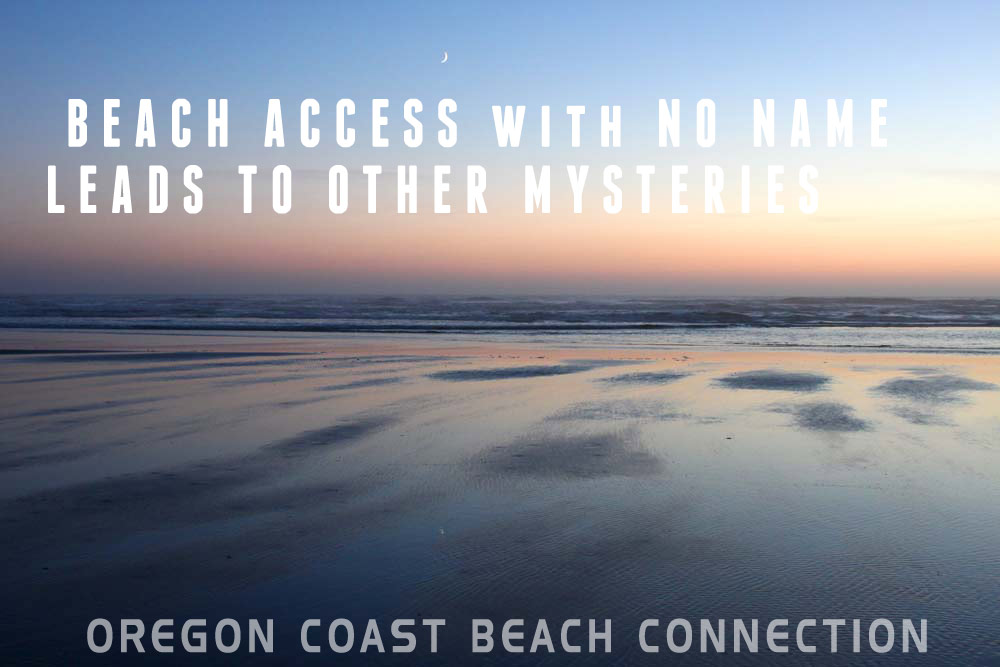 Oregon Coast tweet media