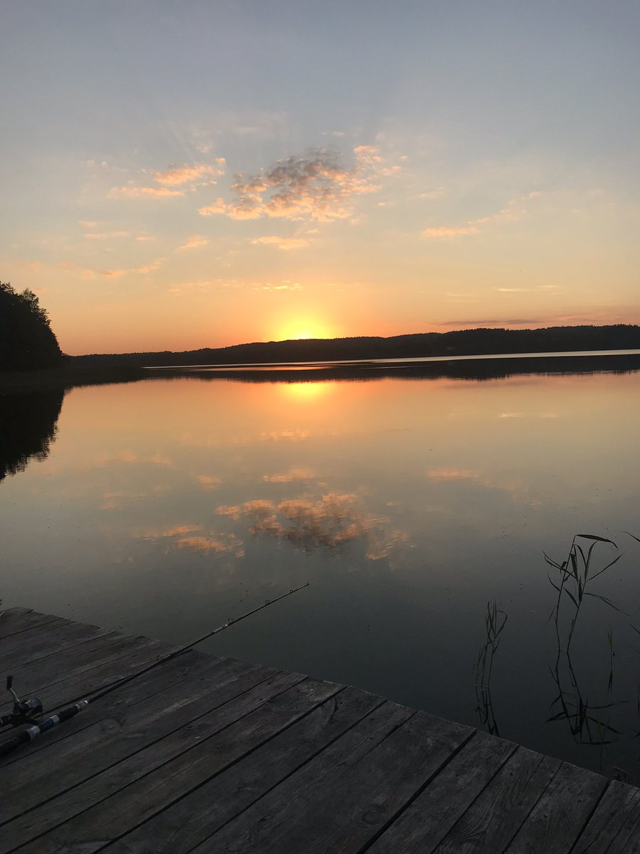 Mastermind. tweet media