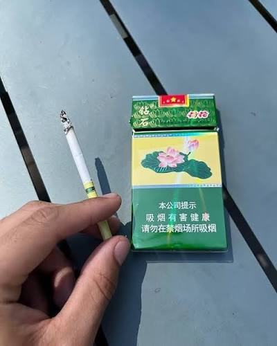 Zoska 🐴 🦈 tweet media