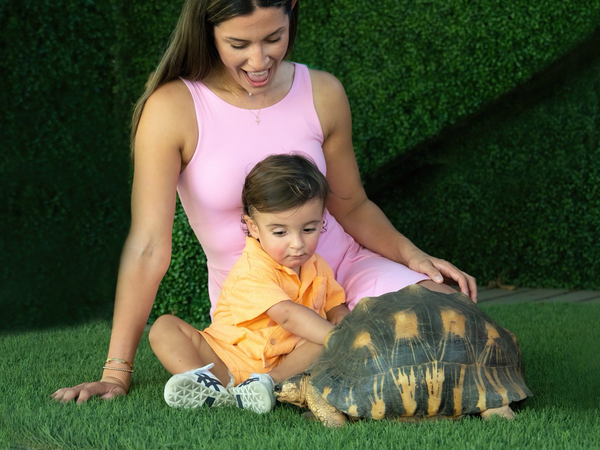 Zoo Miami tweet media