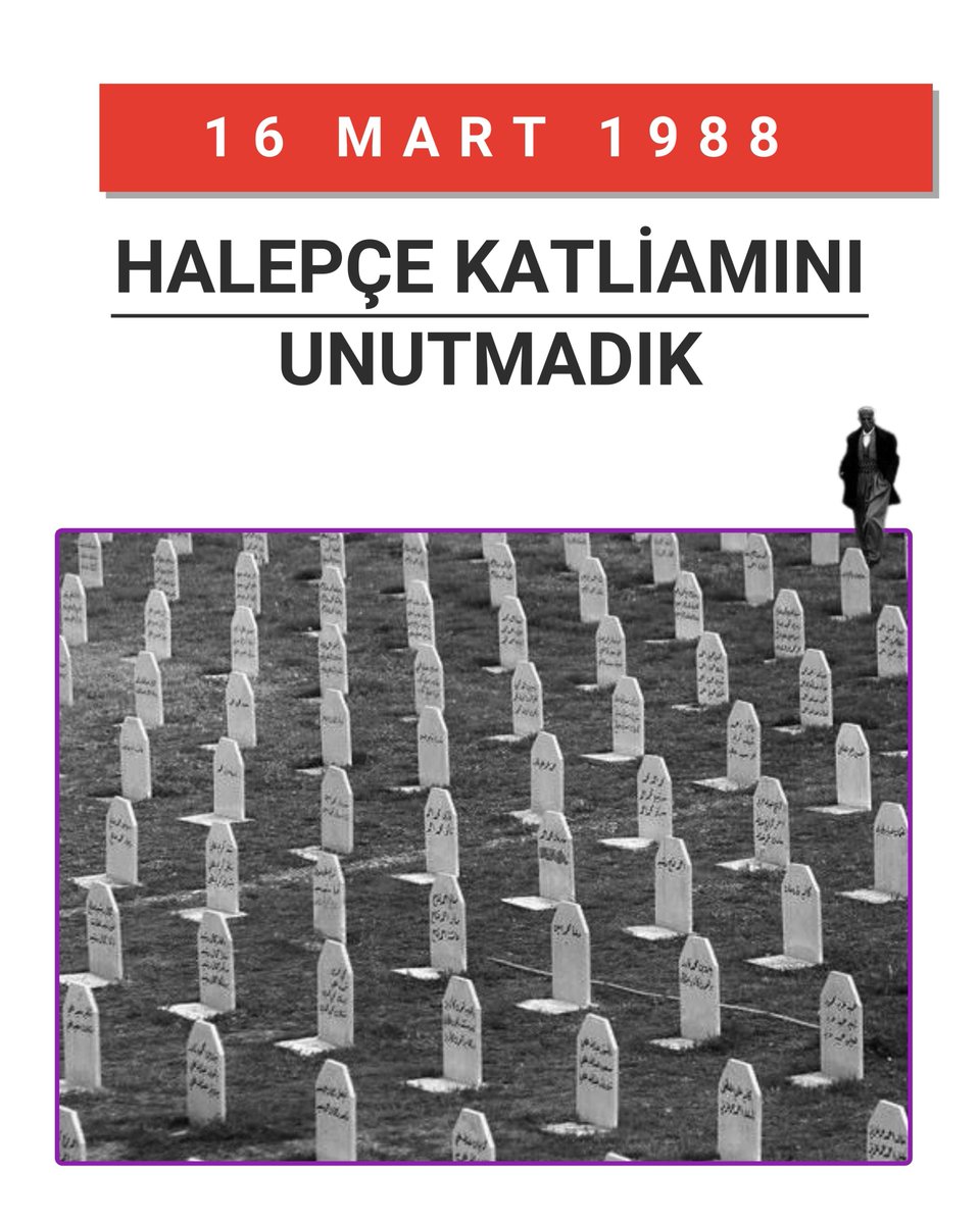 TÜM BEL-SEN tweet media